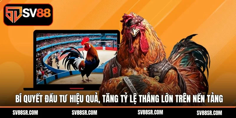 Bí quyết đầu tư hiệu quả, tăng tỷ lệ thắng lớn trên nền tảng
