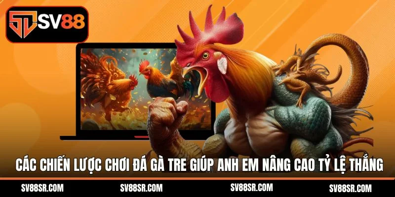 Các chiến lược chơi đá gà tre giúp anh em nâng cao tỷ lệ thắng