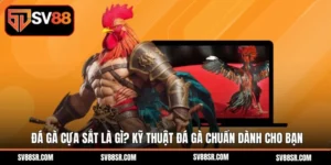 Đá Gà Cựa Sắt