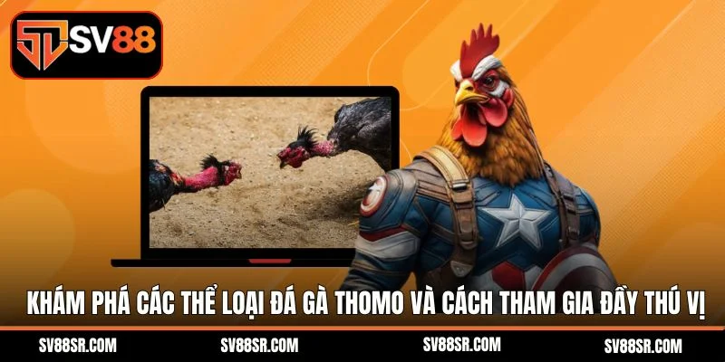 Khám phá các thể loại đá gà thomo và cách tham gia đầy thú vị