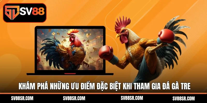 Khám phá những ưu điểm đặc biệt khi tham gia đá gà tre