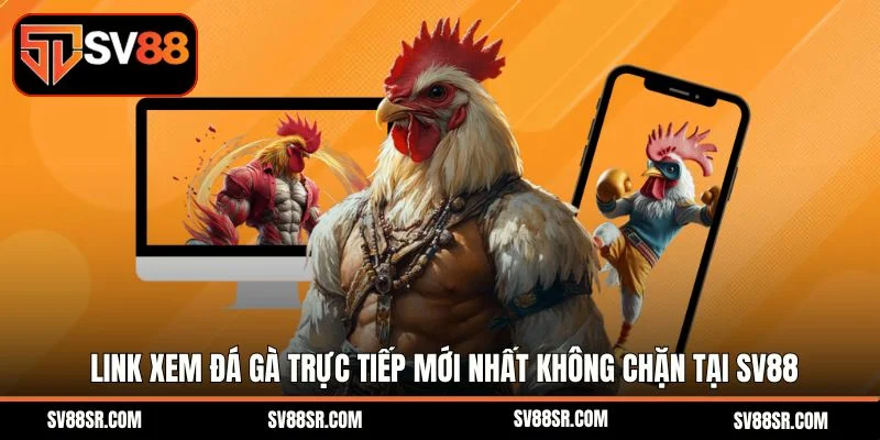 Đá Gà Trực Tiếp