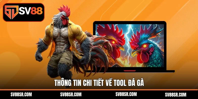 Thông tin chi tiết về tool đá gà 